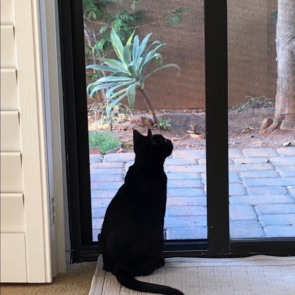 Meet your Posher, Terrie - Picture 1 of 1